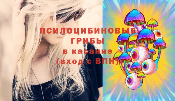 молекула духа Нефтекумск