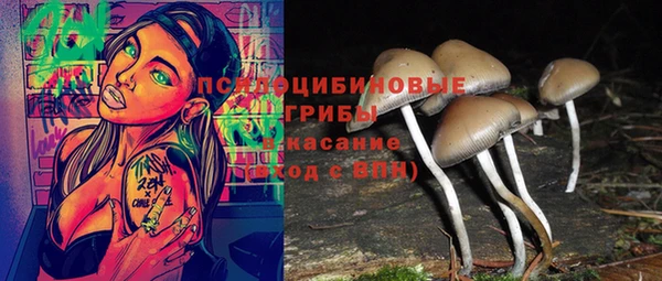 не бодяженный Алексин